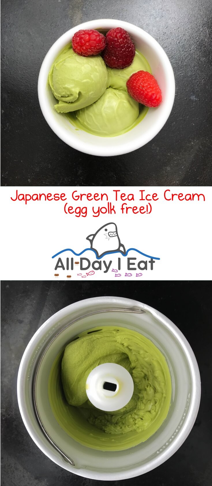 Japanese Green Tea Ice Cream (egg yolk free!). A tasty and reduced guilt way to increase your green tea consumption and satisfy your sweet tooth! | www.alldayieat.com