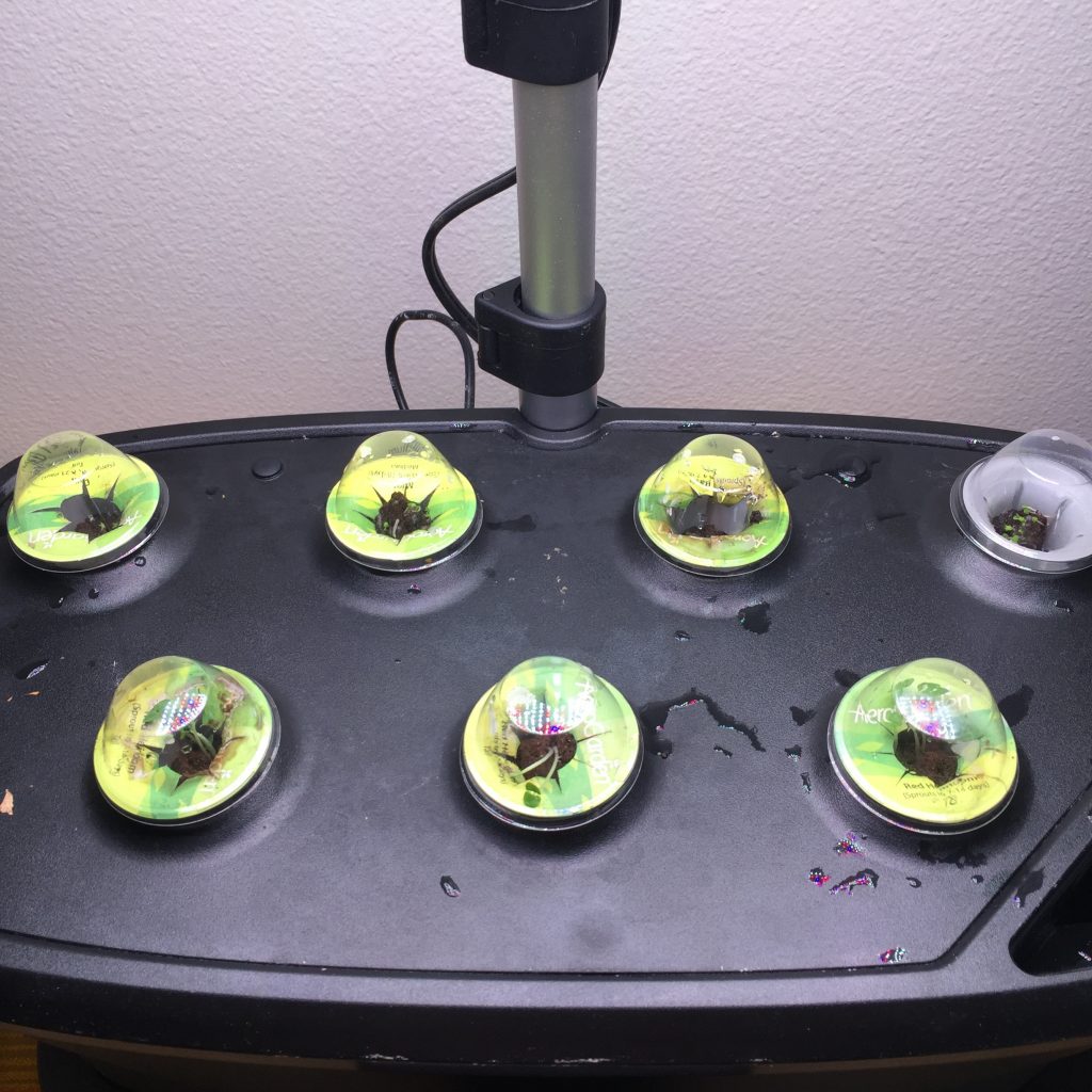 A set of plastic cups on a table next to an Aerogarden.