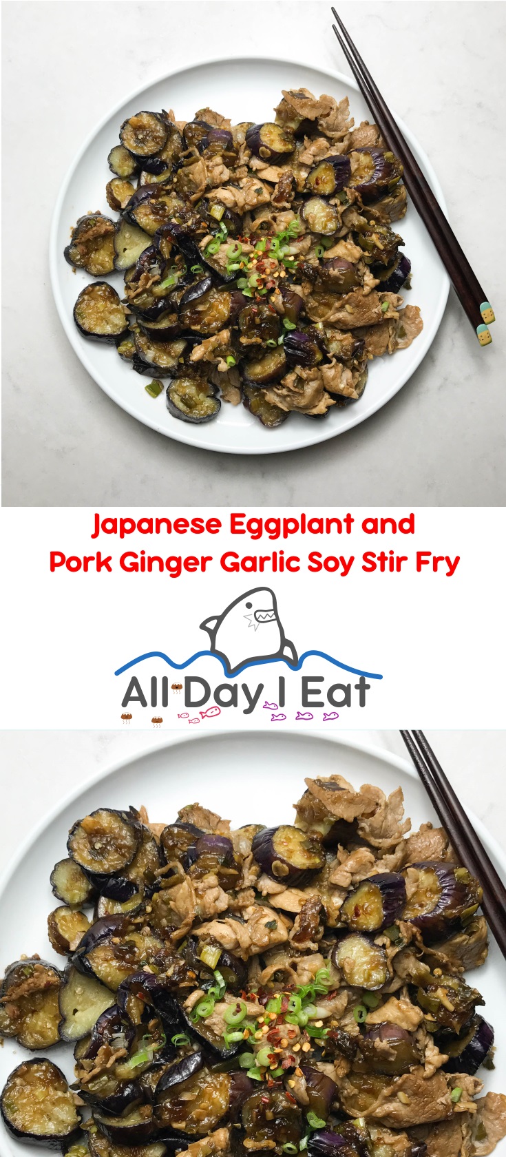 Japanese Eggplant and Pork Ginger Garlic Soy Stir Fry | www.alldayieat.com