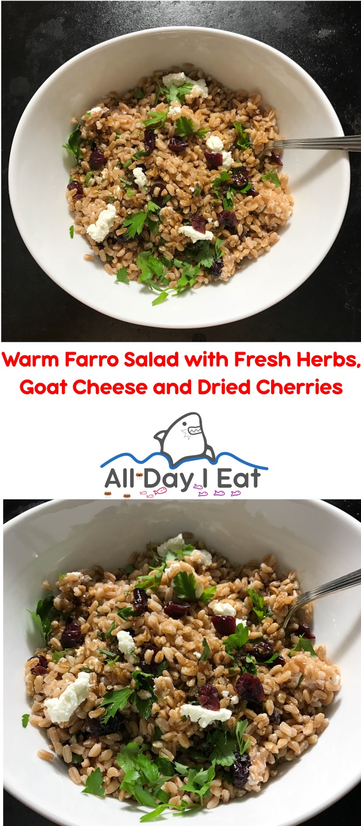 Warm Farro Salad with Fresh Herbs, Goat Cheese and Dried Cherries | www.alldayieat.com