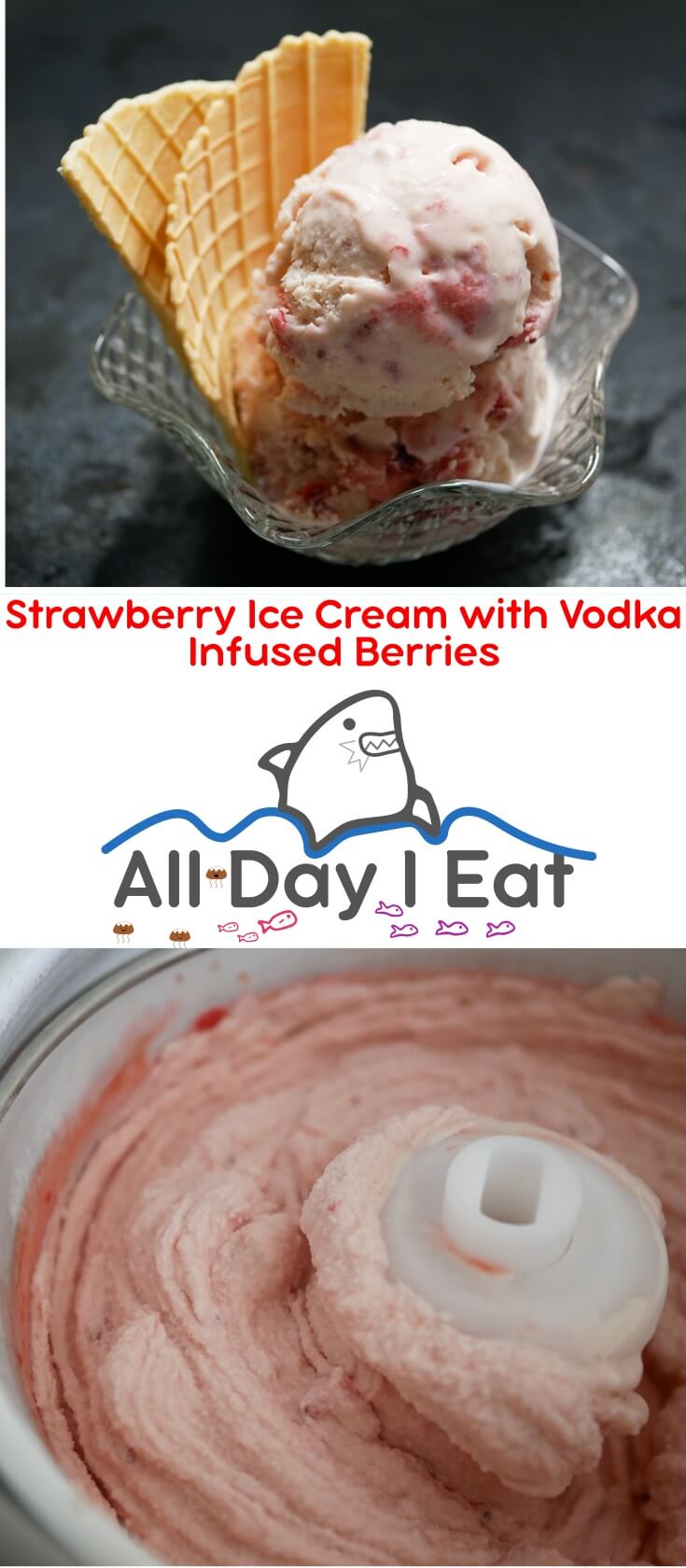Strawberry Ice Cream with Vodka Infused Berries is an alcohol fueled twist on a classic ice cream. The strawberries used were at peak ripeness enabling me to cut back on the sugar. Serve the ice cream with with a waffle cone or a bit of whipped cream and it might just mysteriously vanish before your eyes.