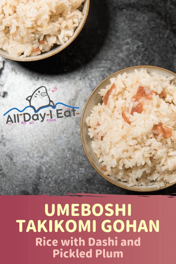 Umeboshi Takikomi Rice top view all day i eat