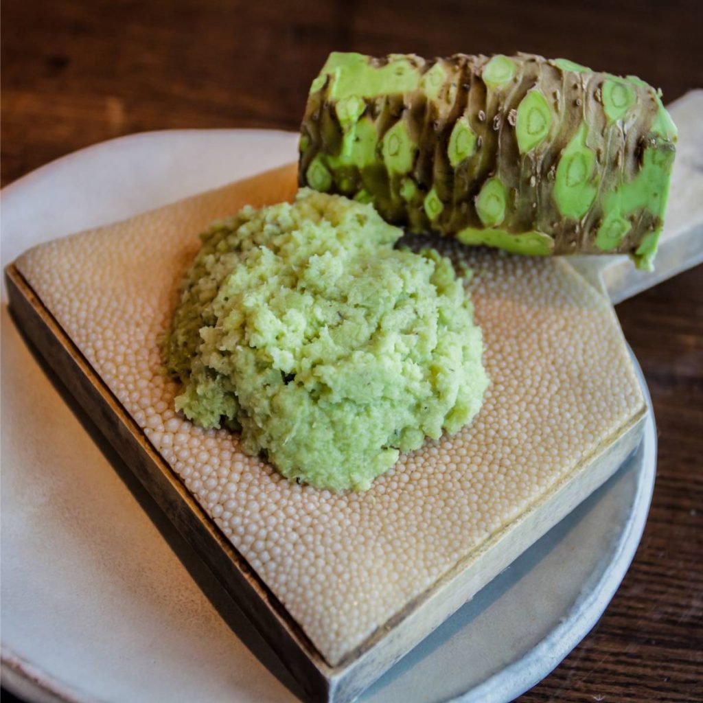 Real wasabi paste with its wasabi plant