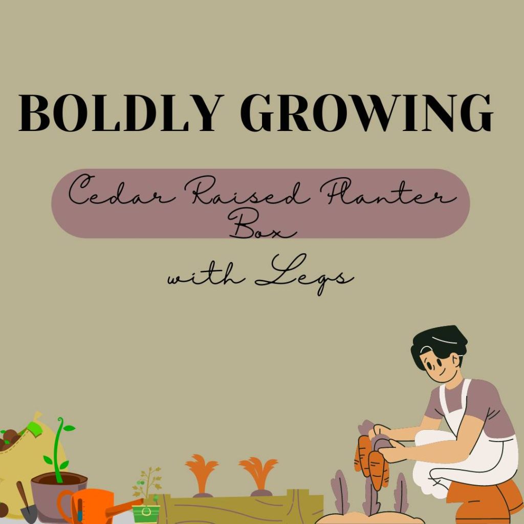 Boldly Growing Cedar Raised Planter Box with Legs