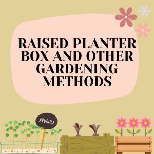 Raised Planter Box and Other Gardening Methods