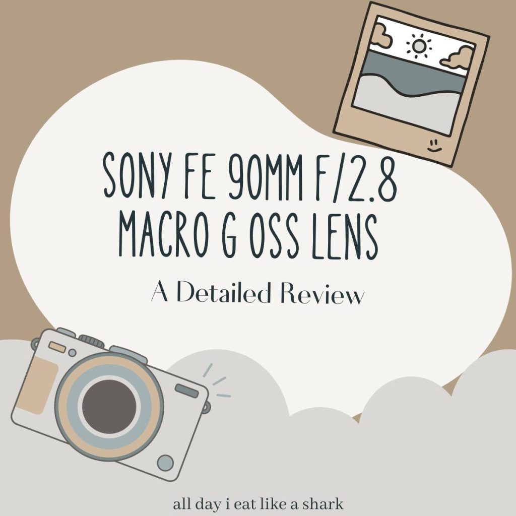 Sony FE 90mm f2.8 Macro G OSS Lens A Detailed Review