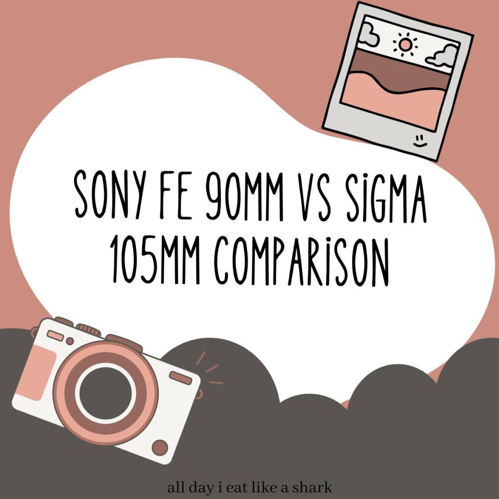Sony FE 90mm vs Sigma 105mm Comparison