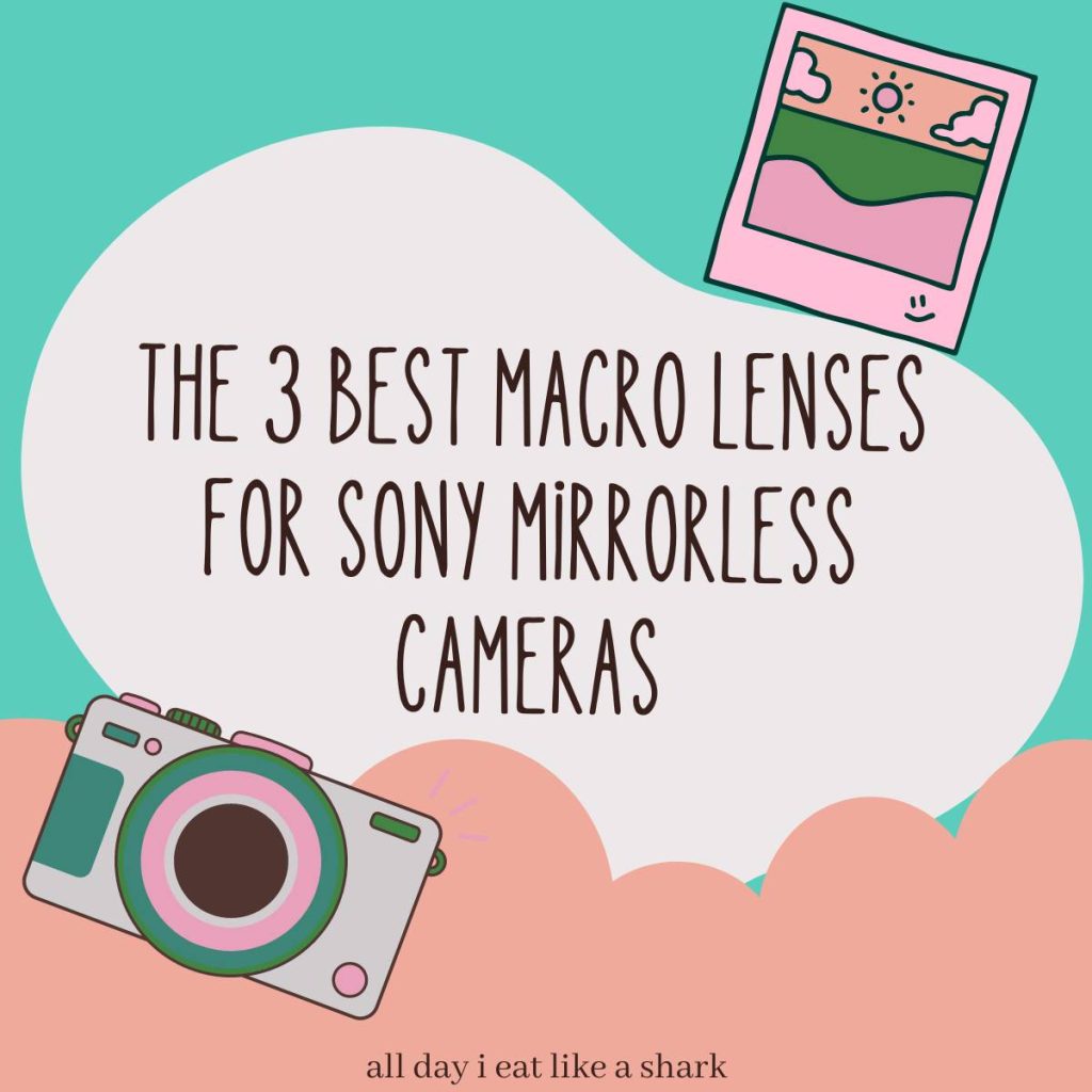 The 3 Best Macro Lenses for Sony Mirrorless Cameras