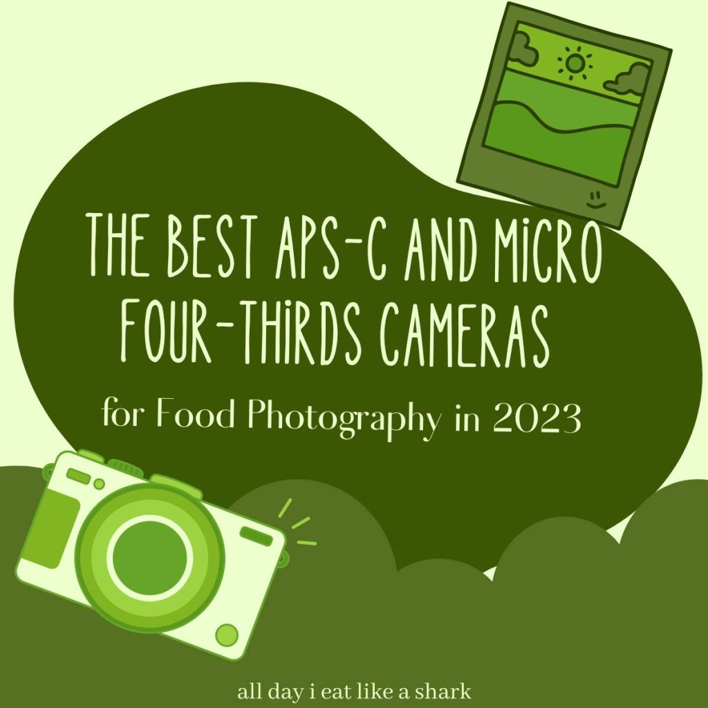 The Best APS-C and Micro Four Thirds Cameras for Food Photography in 2023