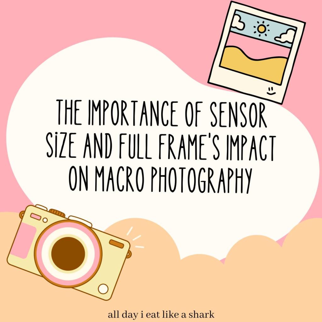The Importance of Sensor Size and Full Frame's Impact on Macro Photography