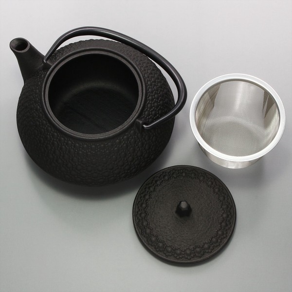 Nembu Tekki Japanese Tea Pot with metal filter
