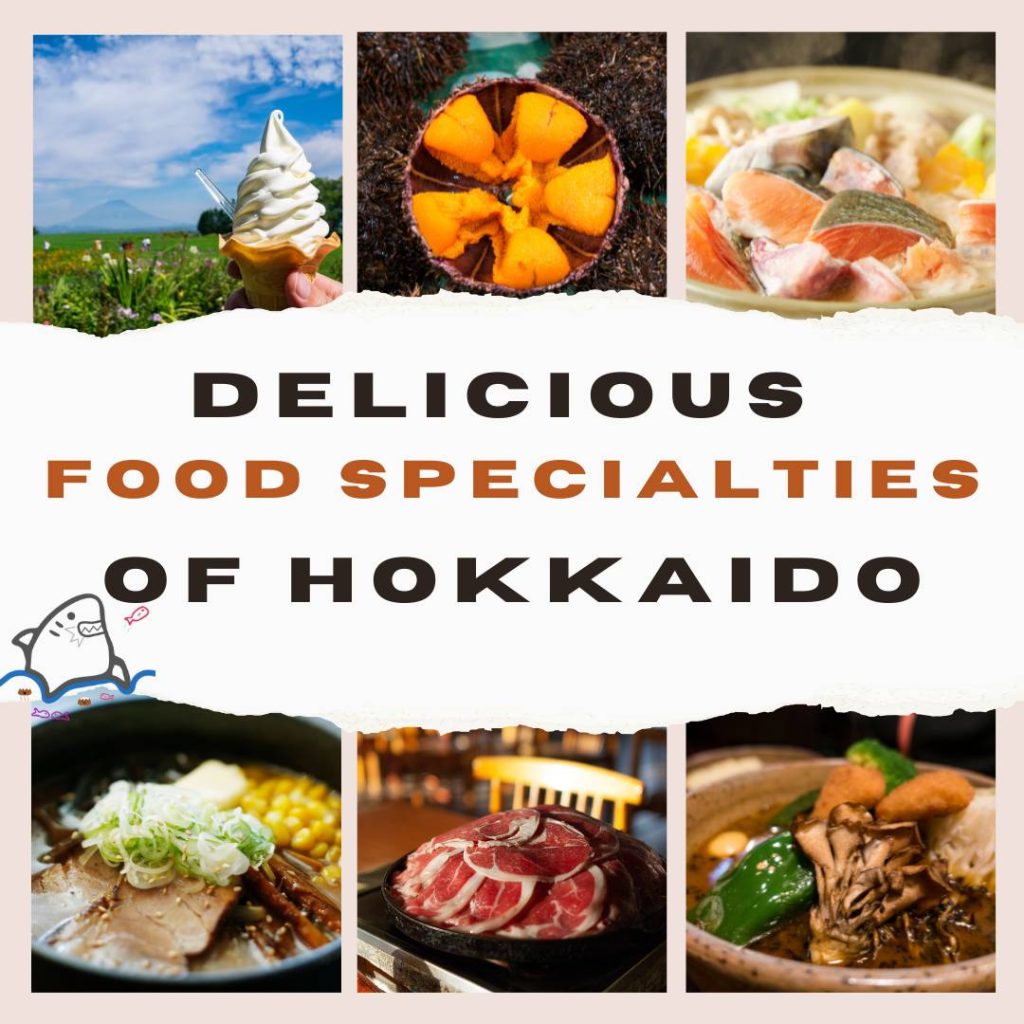 Delicious hokkaido food specialties.