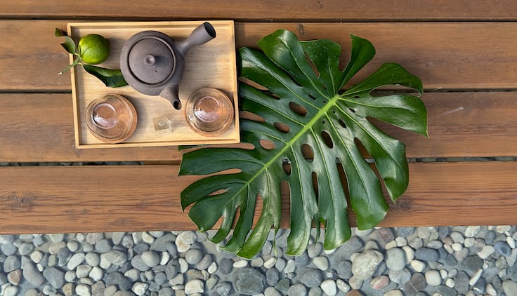 tray with a tea pot set on a wooden table