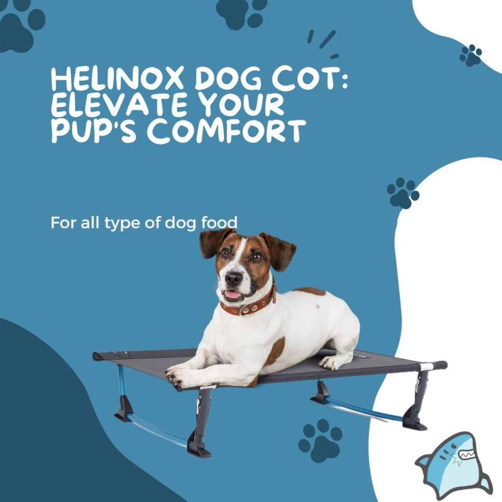 Helinox dog cot elevates your pup's comfort.