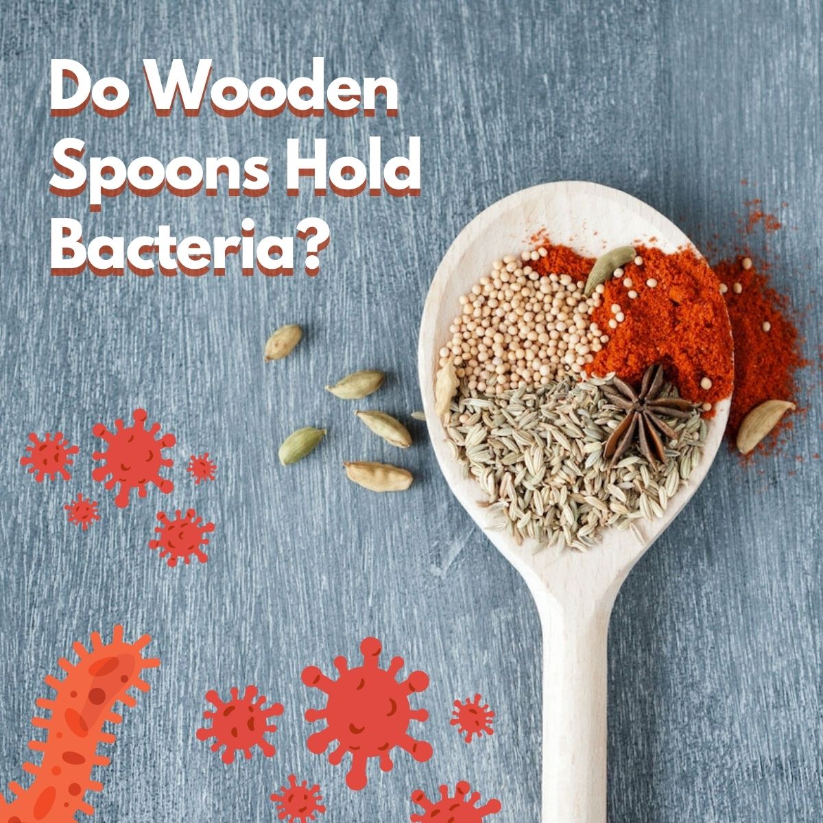 https://cdn.alldayieat.com/wp-content/uploads/2023/10/Do-wooden-spoons-hold-bacteria.jpg