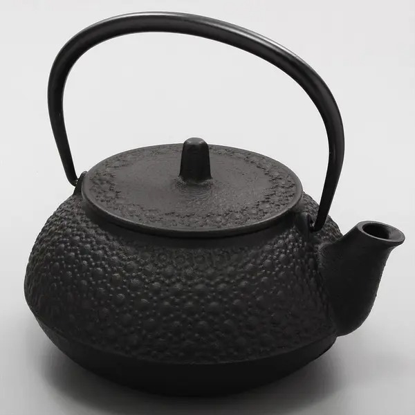 Nambu Tekki Japanese Tea Pot