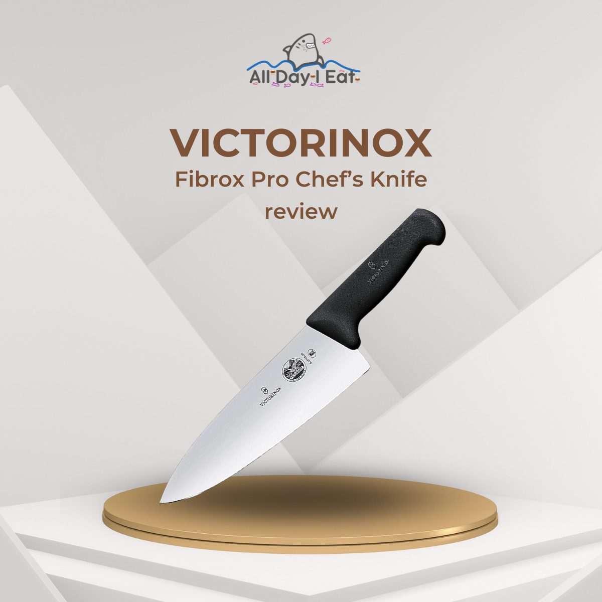 Victorinox Chef's Knife Review  The World's Lightest Chef's Knife