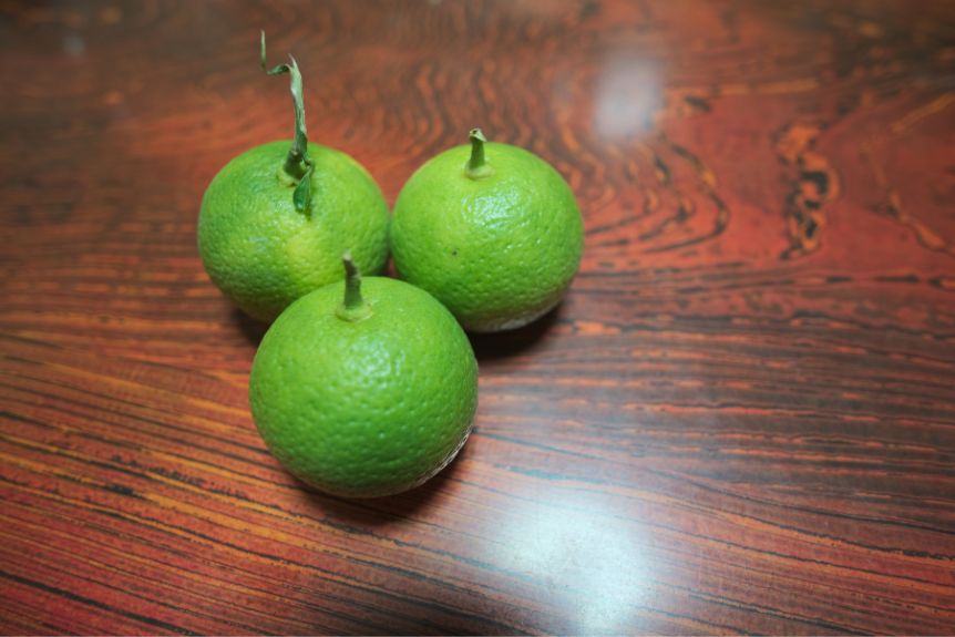 Three Kabosu Japanese citrus varieties on top of a wooden surface.